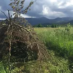 Camp66